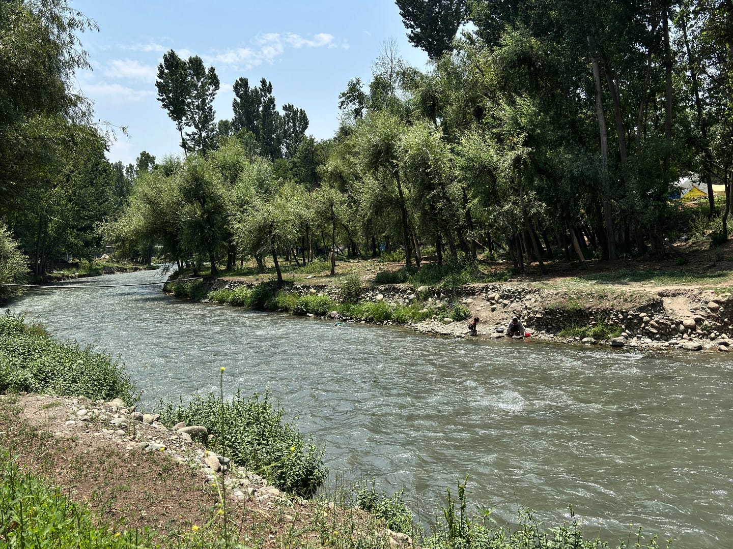 Otters spotted in Kashmir waters, and residents are both thrilled and wary