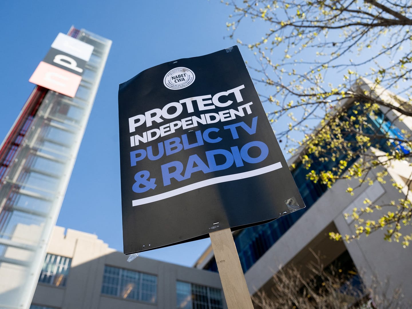 PBS sues Trump for stripping its funds