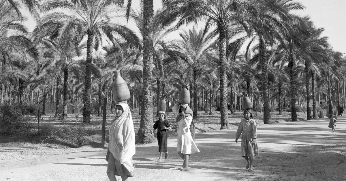 The Hawaii of Israel: How Trump legitimised a longstanding Israeli vision
