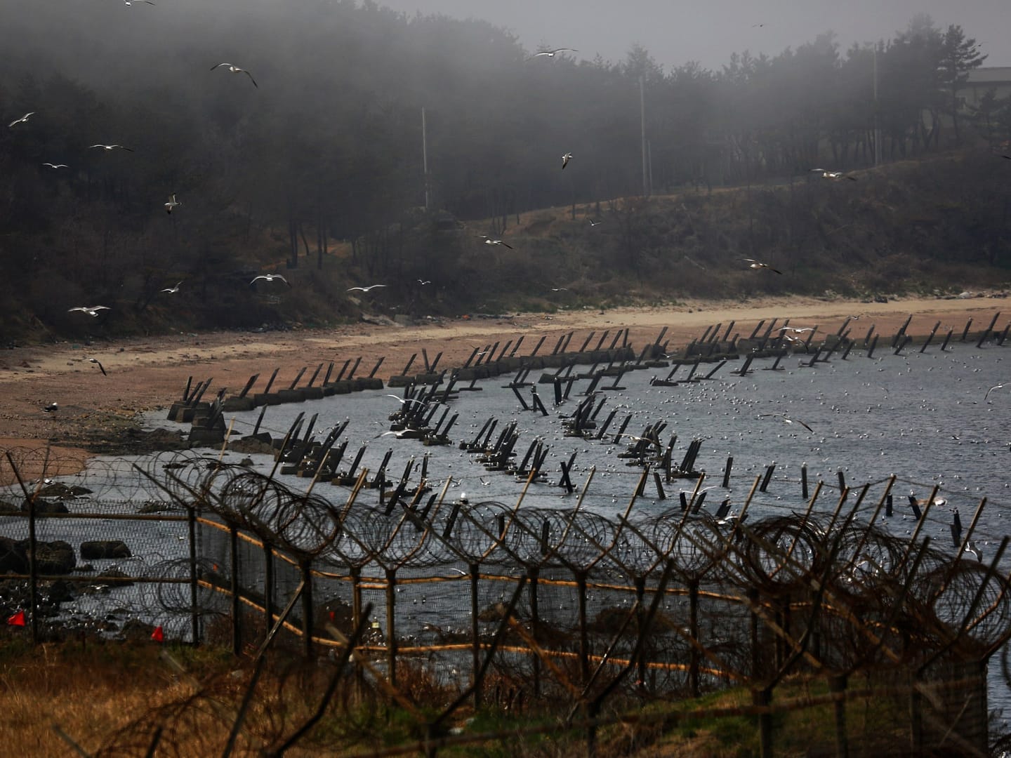 Americans detained trying to send rice, Bibles, dollar bills to North Korea