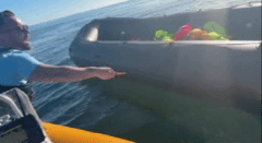 Police examine video of anti-migrant activist slashing dinghy with knife